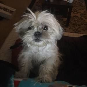 Meet your Posher, Bryan